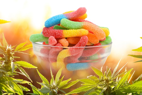 cbd-edibles-worms